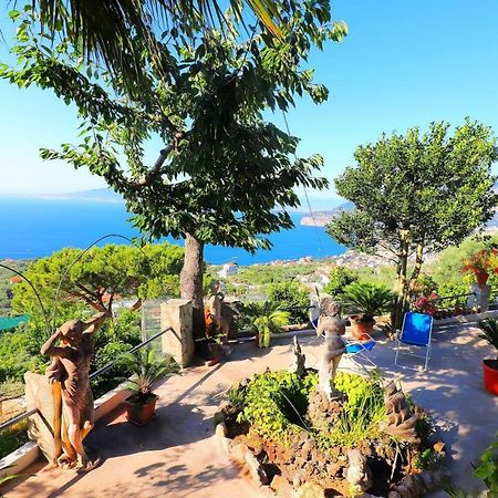 La Rosa Del Sud - De Vivo Realty Sorrento Lägenhet Exteriör bild