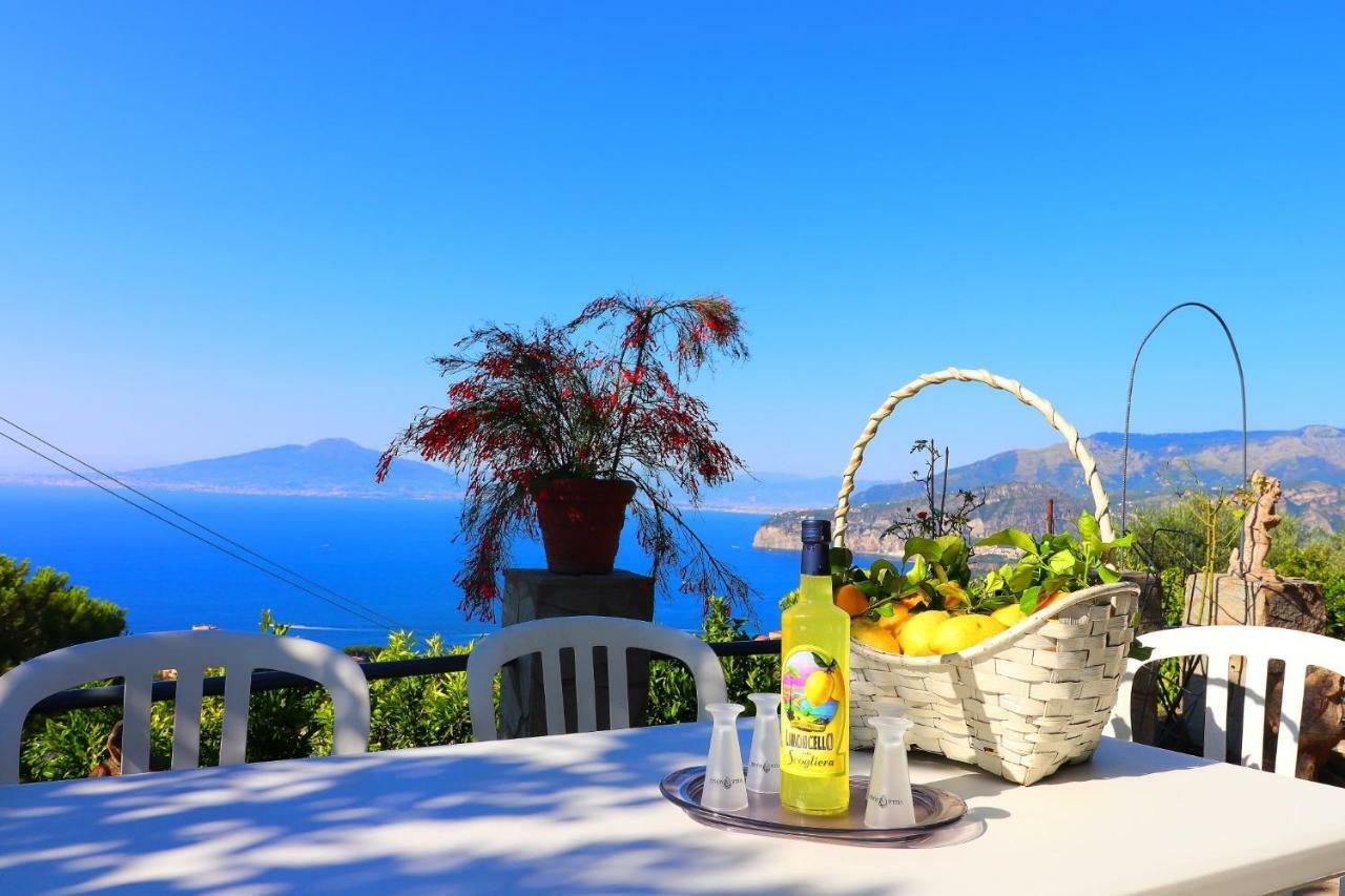 La Rosa Del Sud - De Vivo Realty Sorrento Lägenhet Exteriör bild