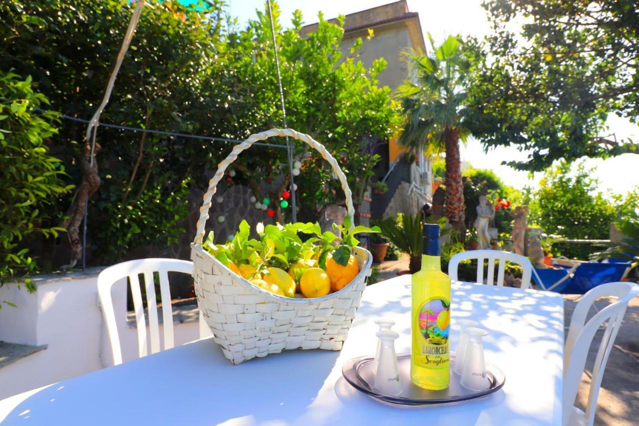La Rosa Del Sud - De Vivo Realty Sorrento Lägenhet Exteriör bild